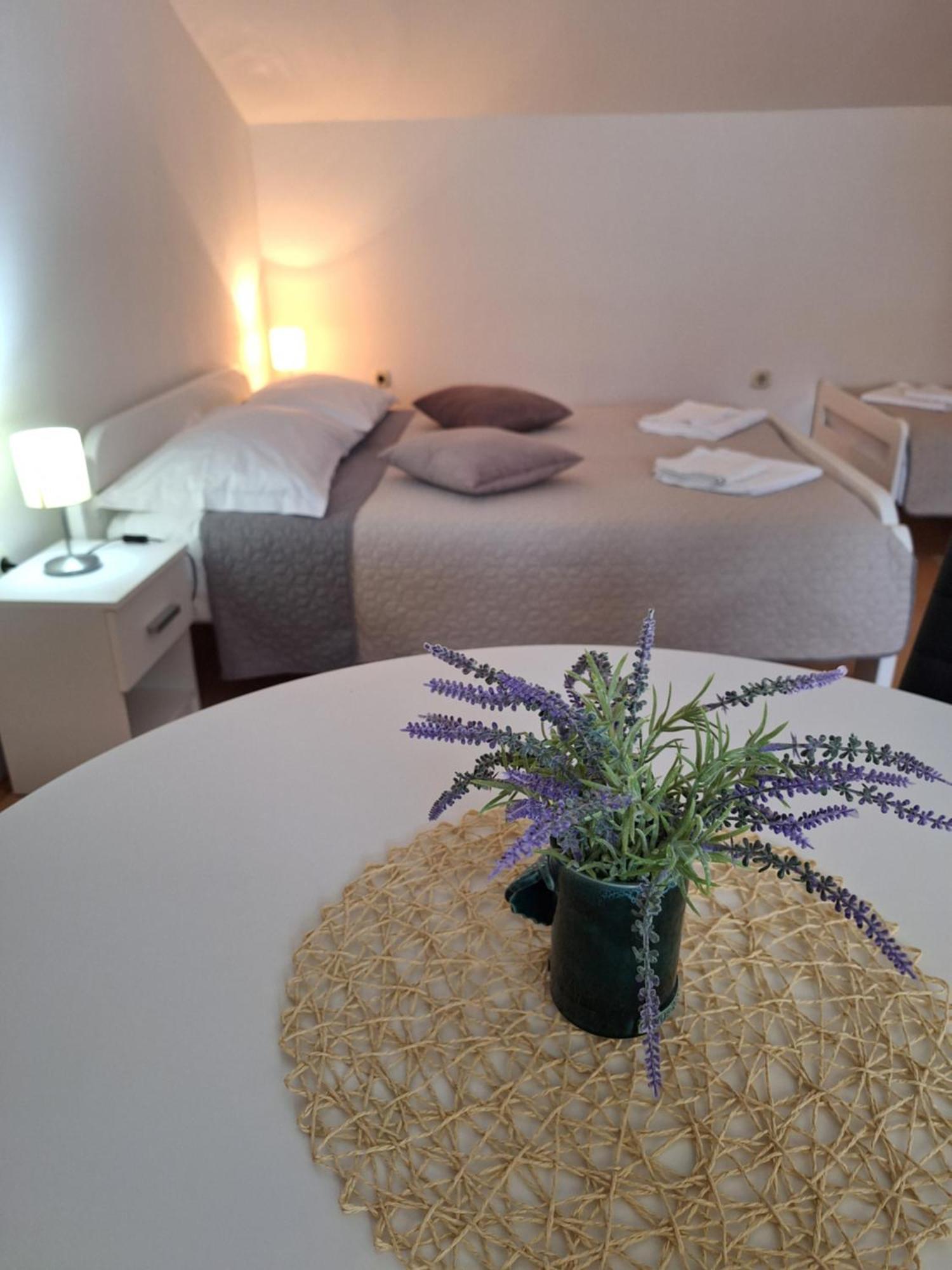 Apartments Kozjan カルロヴァッツ エクステリア 写真